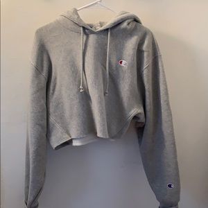 Champion Gray Cropped Sweatshirt